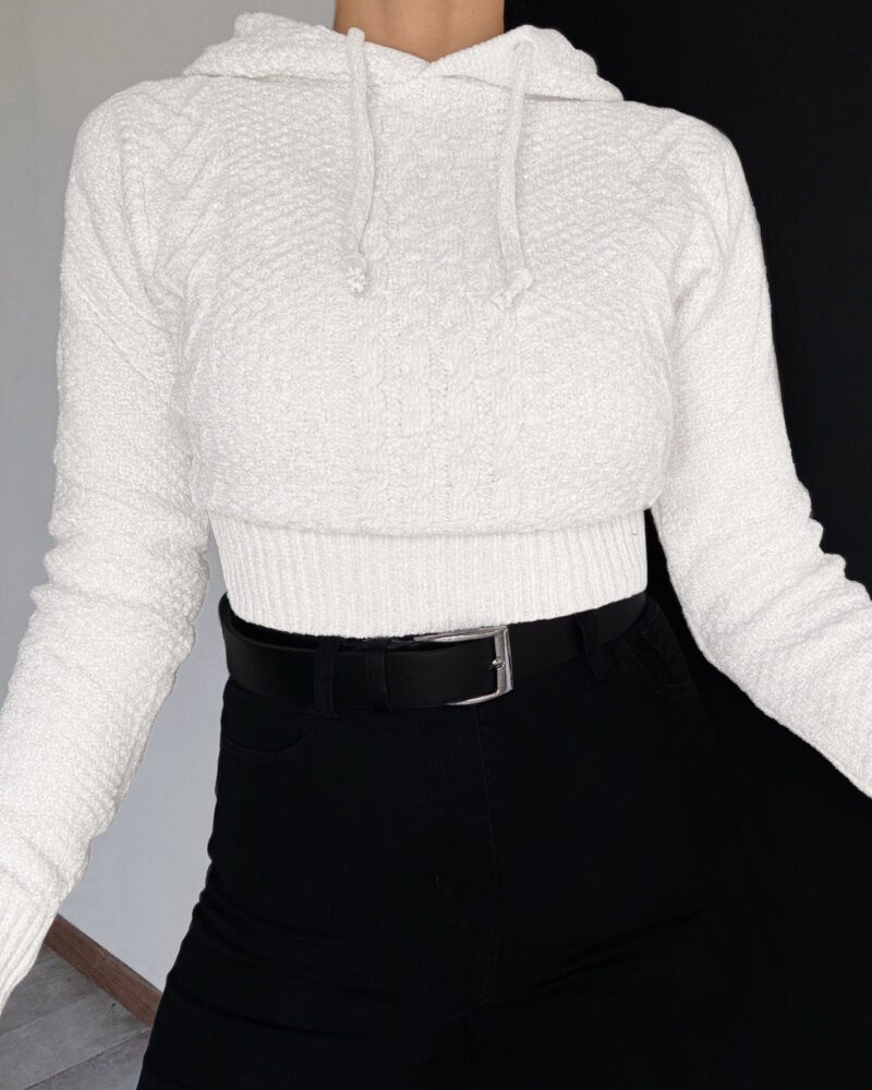 SWEATER CHENILLE BRILLO CON CAPUCHA *A873 - Imagen 2